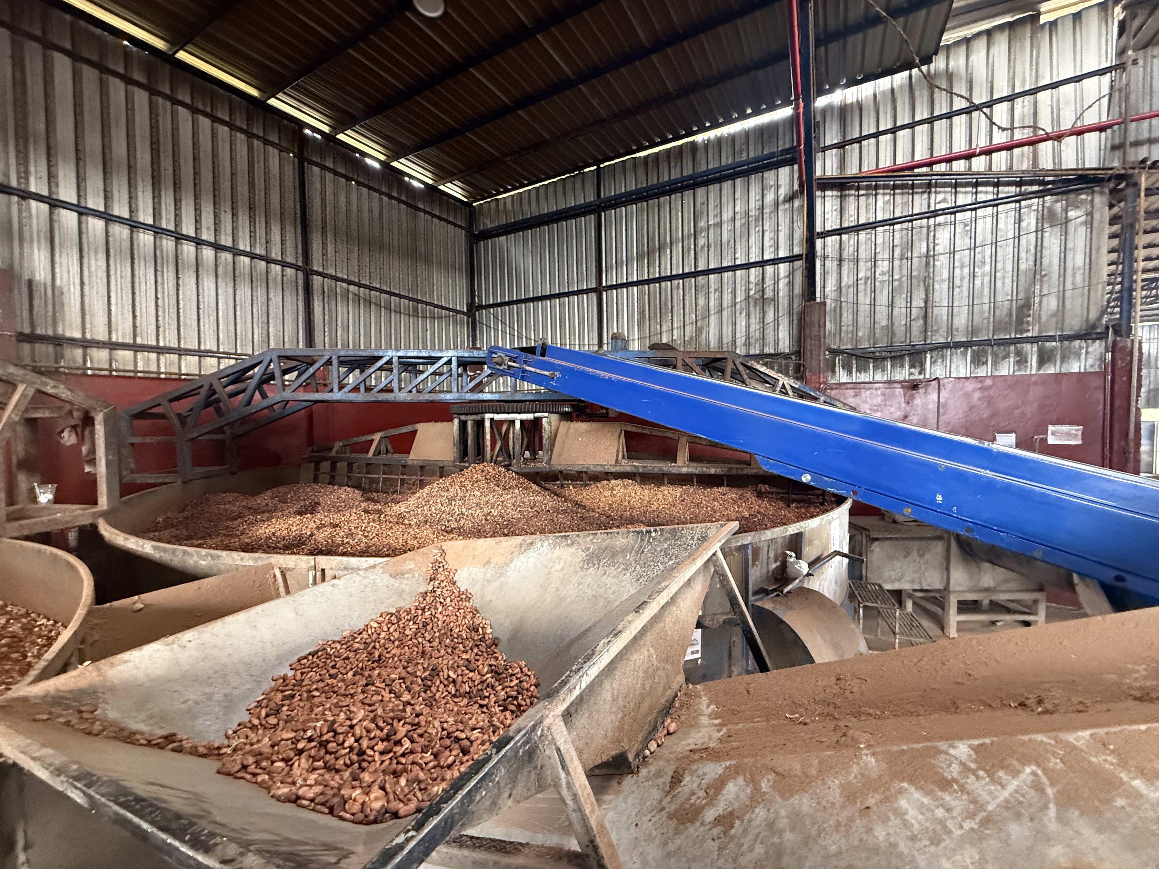 Trazabilidad de cacao